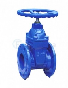 Válvula Compuerta Cierre Elástico Bridada DN-125 - Atusa