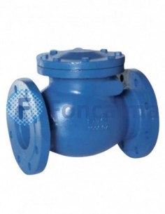 Válvula Retención con Clapeta con Goma DN-65 PN-10 - Atusa