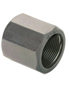 Accesorios Riego Jardín - Manguito Pe Hembra 2 1/2" - ABRISA - rosca -