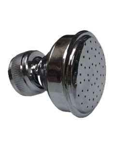 Filtros y Accesorios Piscina - Piña Ducha 4401042604 Fluidra 440104260