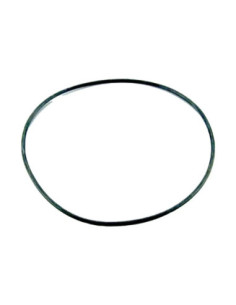Filtros y Accesorios Piscina - Junta Filtro Aro Tapa Tórica 255x4 mm 4